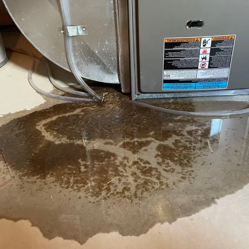 Pipe Burst and Leak Restoration in Gages Lake, IL