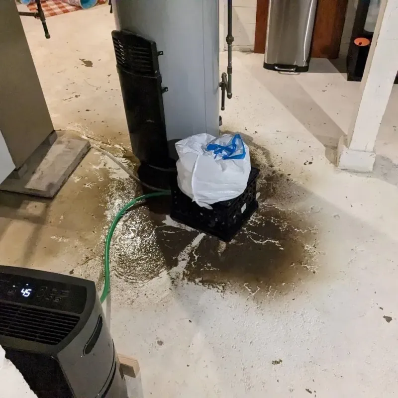 Sewage Backup Cleanup Service in Gages Lake, IL